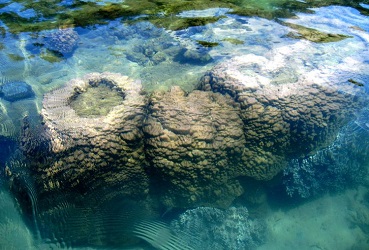解决生物脱氮除磷所需碳源不足的方法