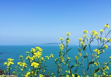 环保污水生化处理之碳源选择的诀窍
