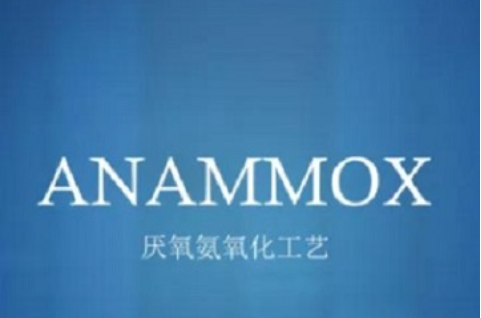 厌氧氨氧化工艺介绍