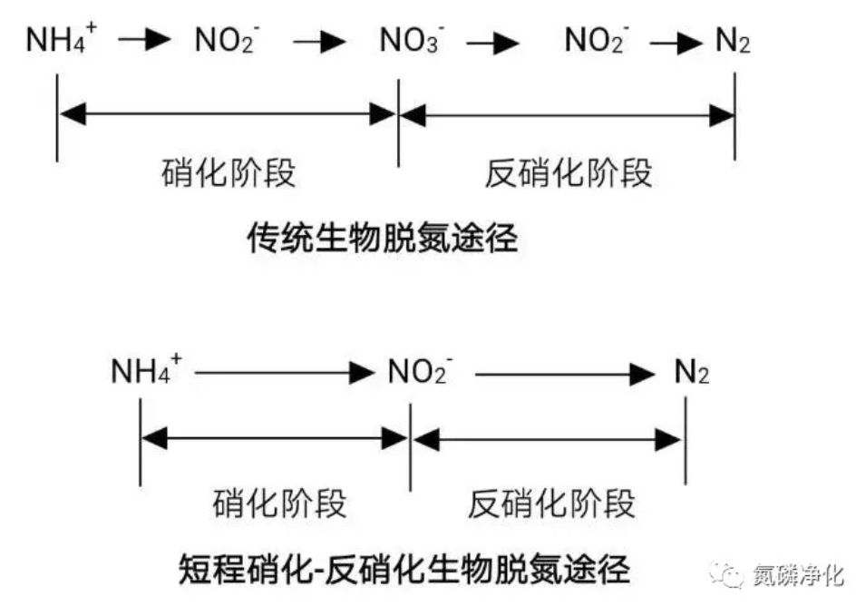 1633760920(1).jpg