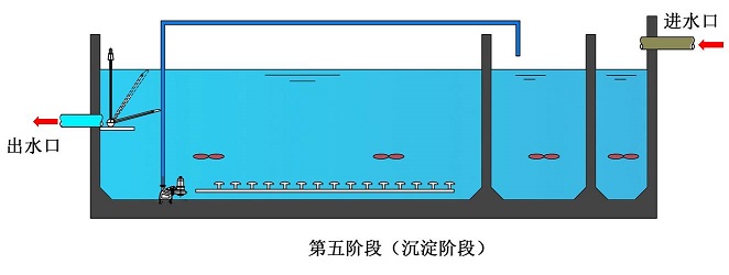 DBMP第五阶段.jpg
