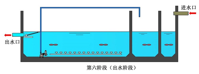 DBMP第六阶段.jpg